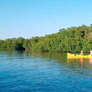 kayak mogote