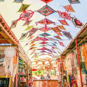 Todos Santos Magic Tour – From Los Cabos
