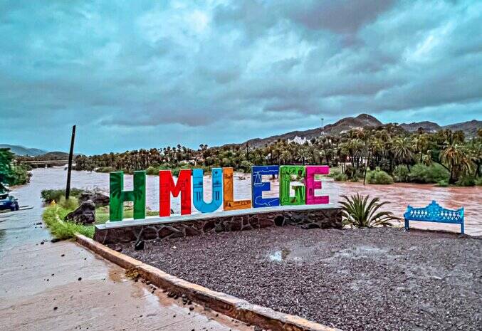 Where to Go